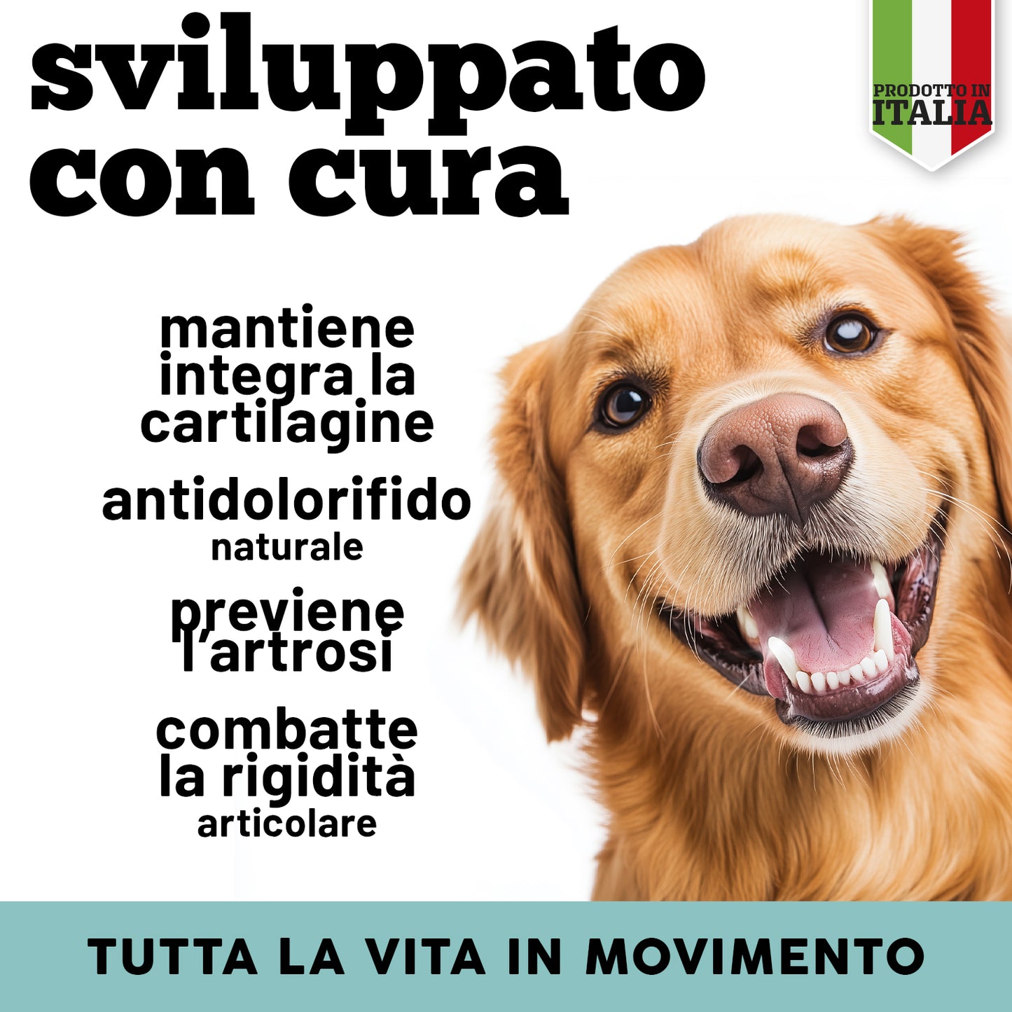 Articolazioni