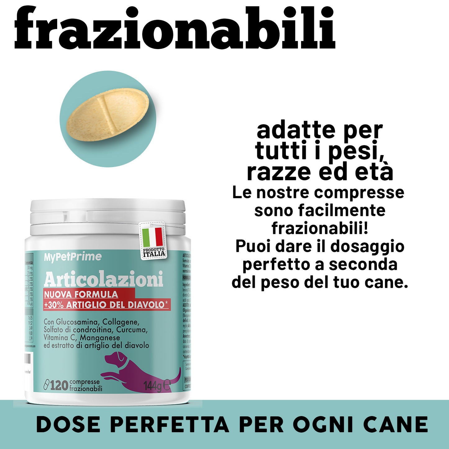 Articolazioni