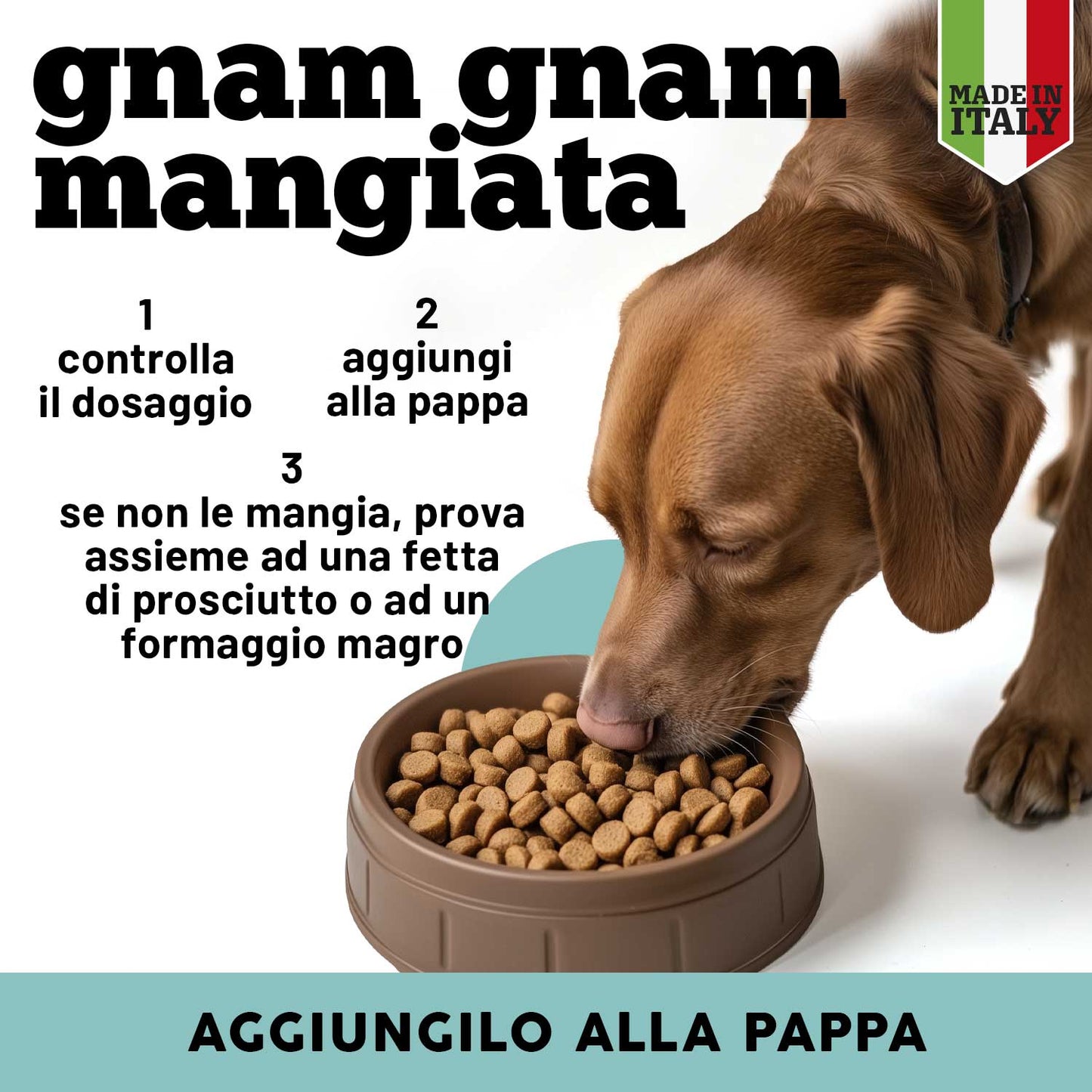 Articolazioni