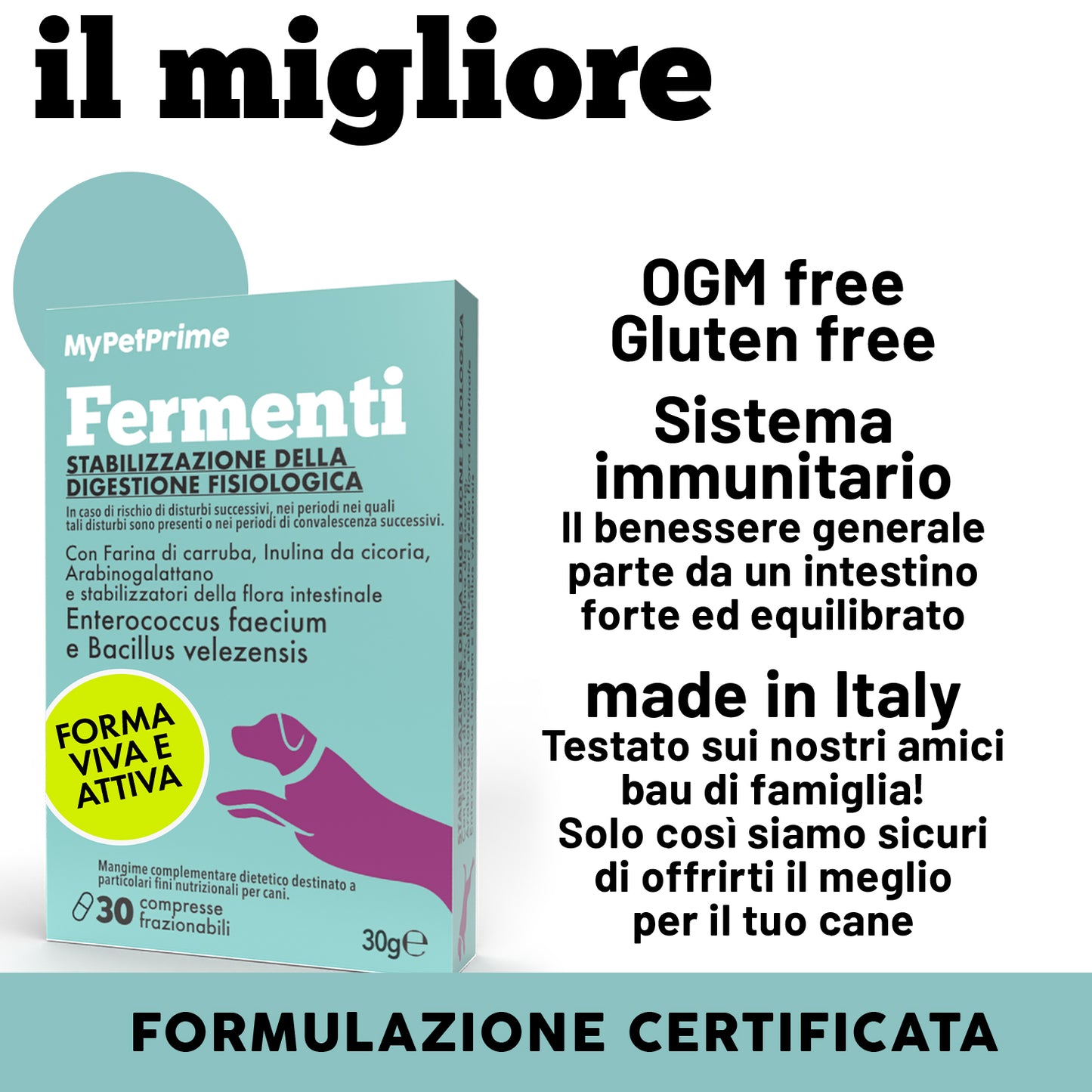 Fermenti