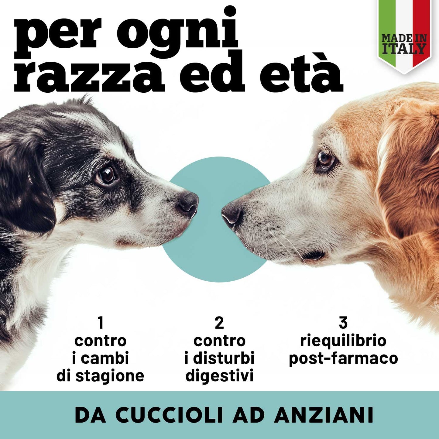Fermenti