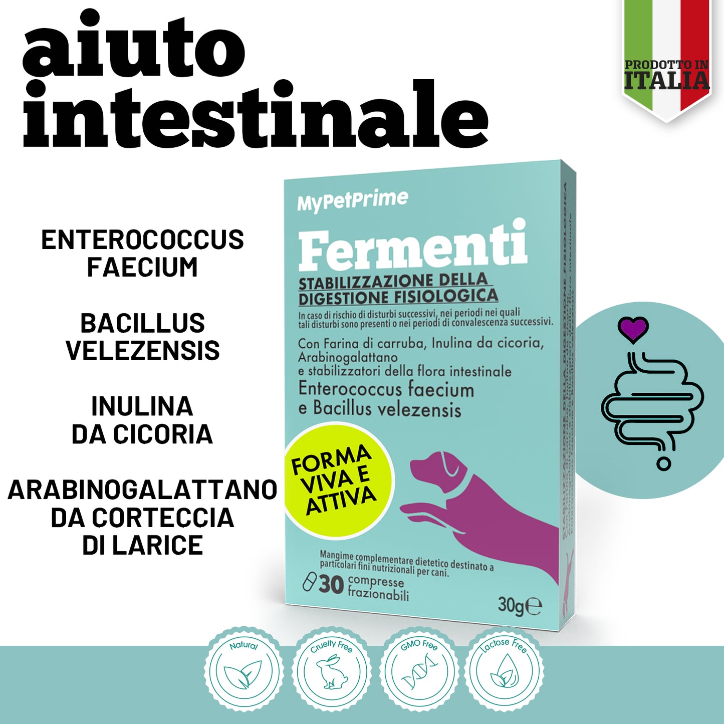 Fermenti