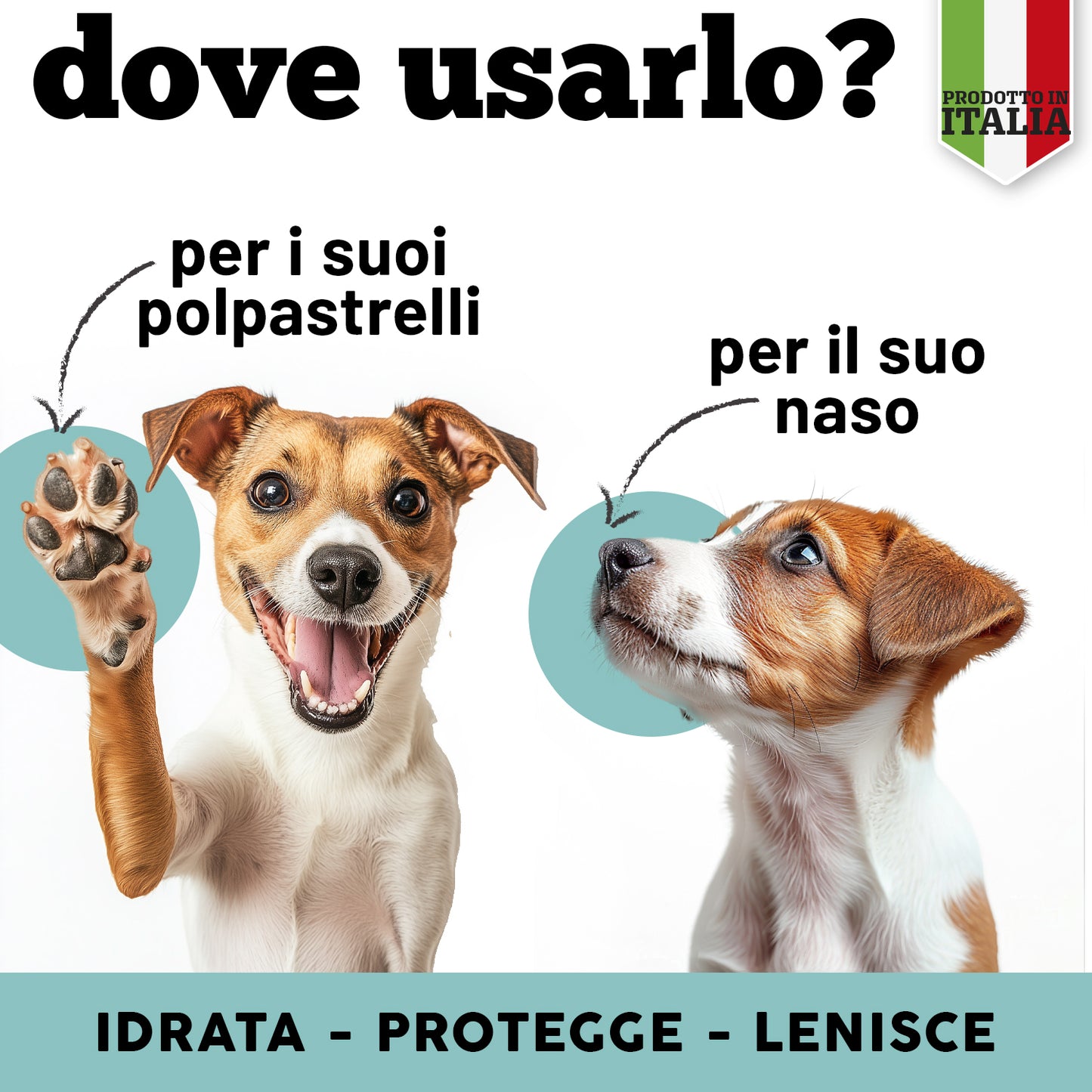 Polpastrelli
