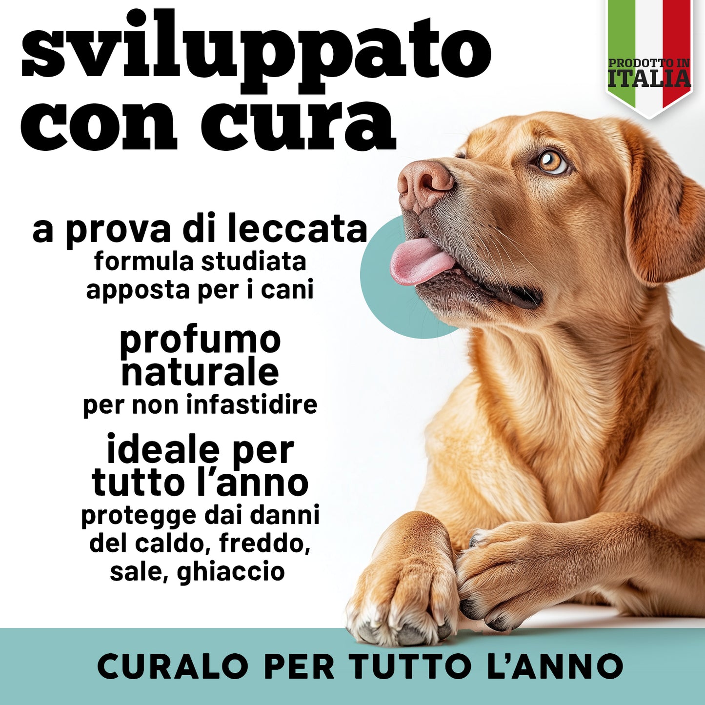 Polpastrelli