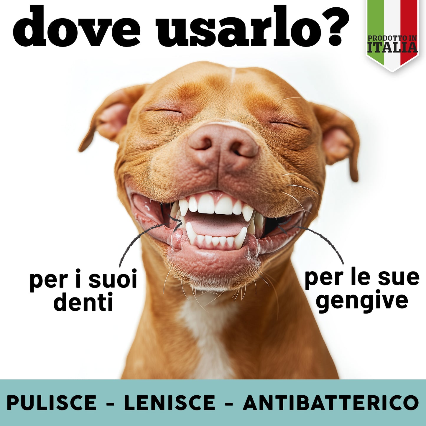 Dentifricio Spray