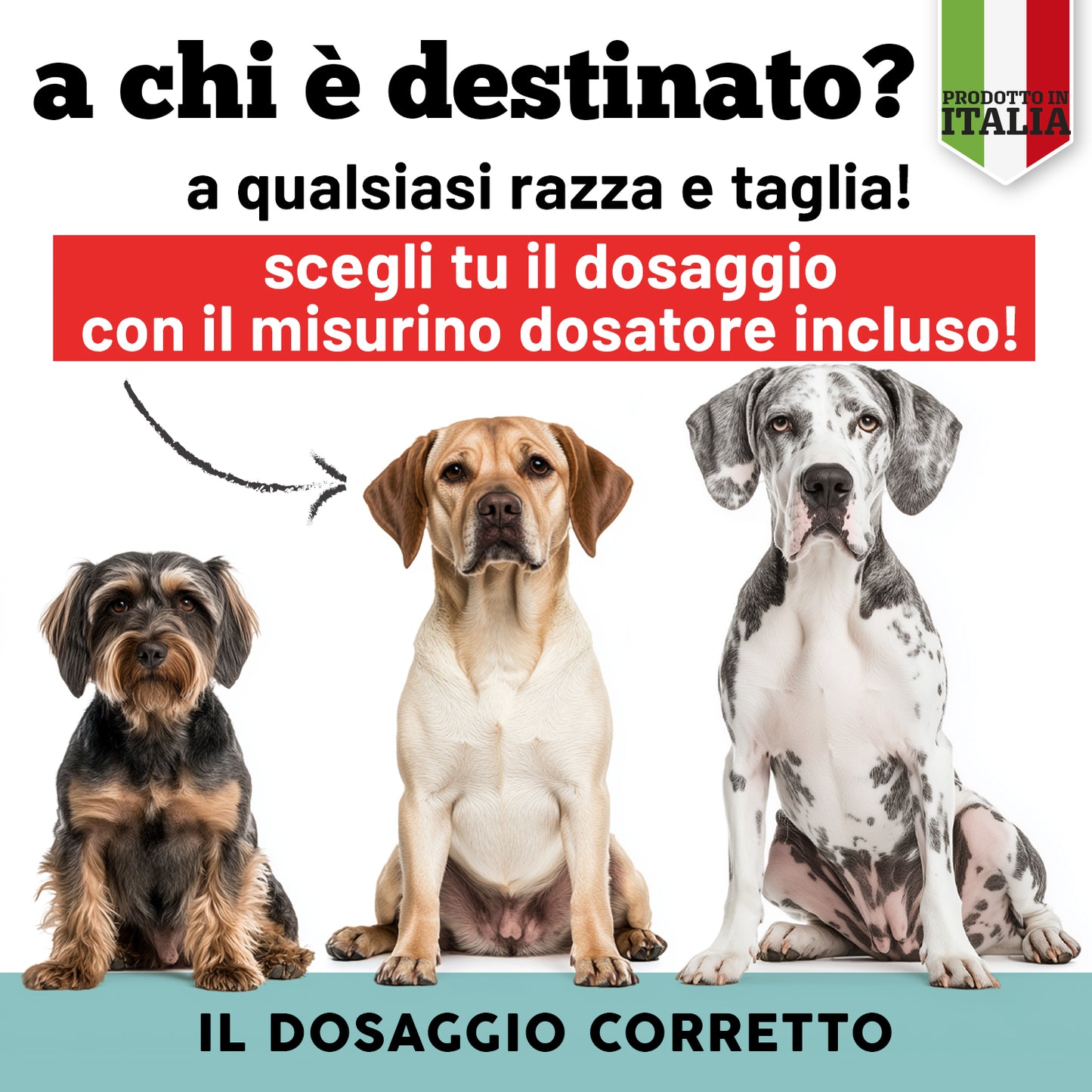 Multivitaminico e minerali in polvere
