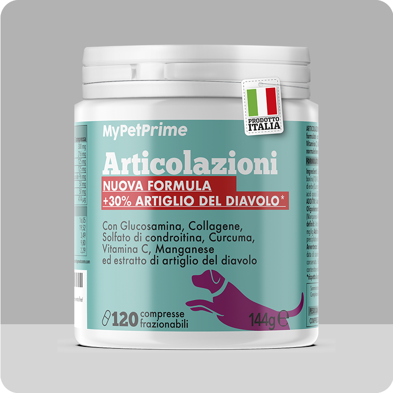 Articolazioni