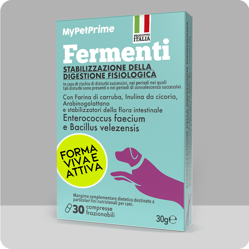 Fermenti