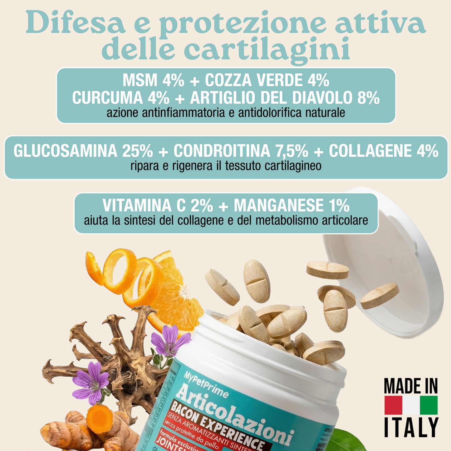 Articolazioni