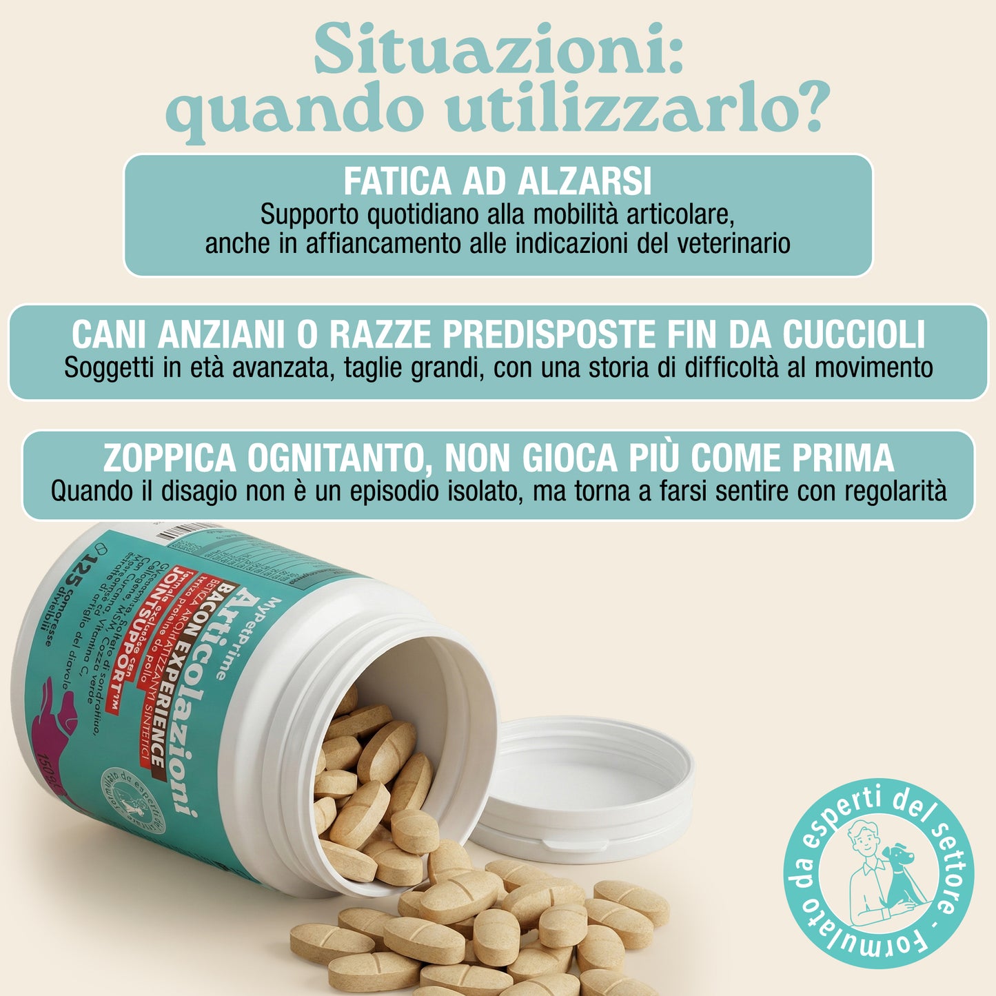 Articolazioni