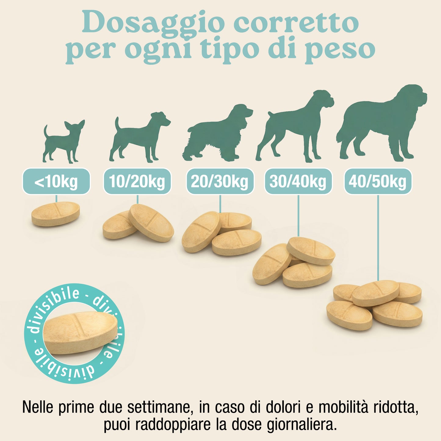 Articolazioni