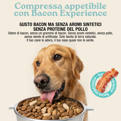 Articolazioni