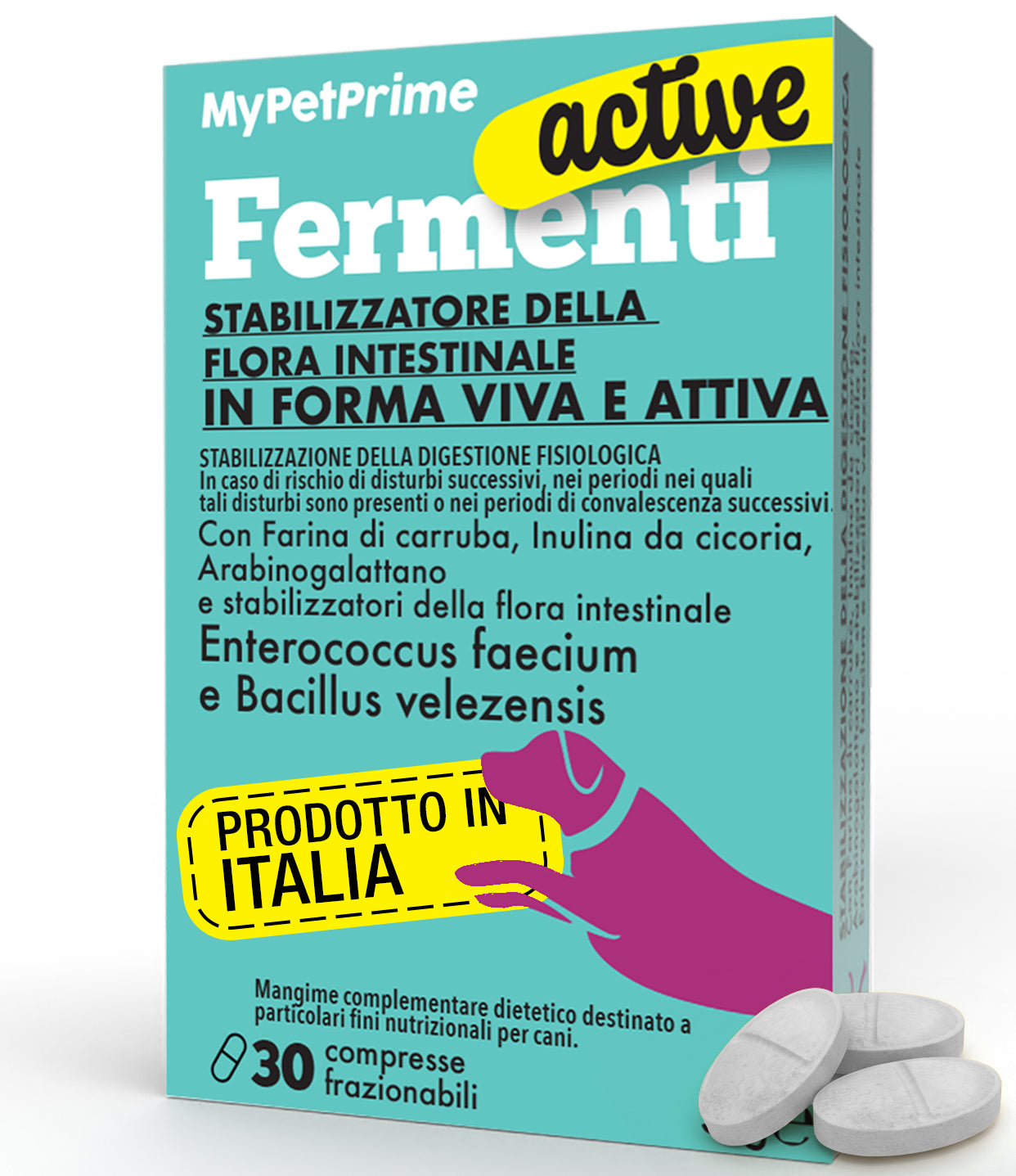Fermenti