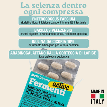 Fermenti