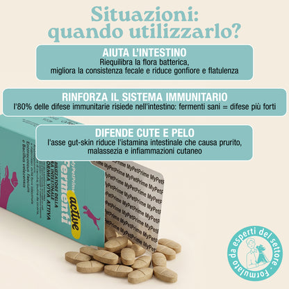 Fermenti