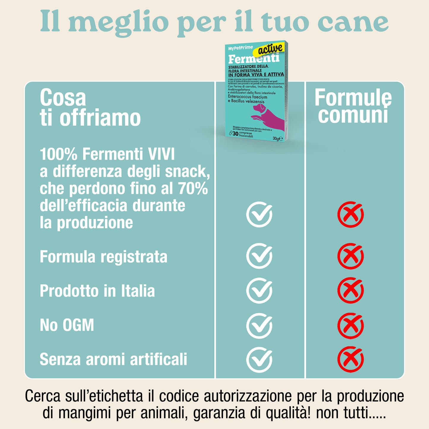 Fermenti