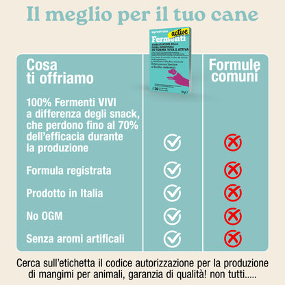 Fermenti