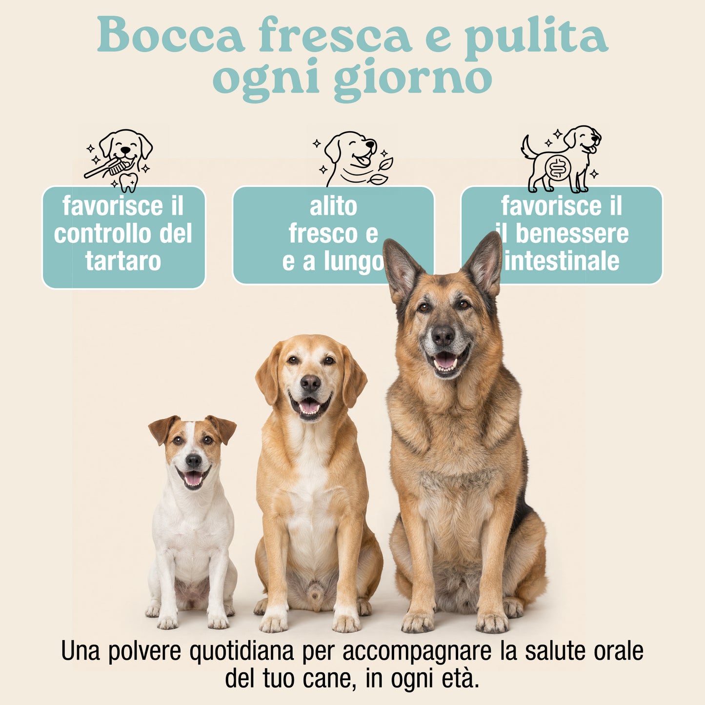 Placca, Tartaro e Alito fresco