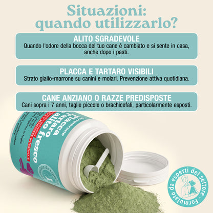 Placca, Tartaro e Alito fresco