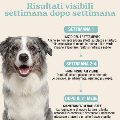 Placca, Tartaro e Alito fresco