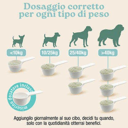 Placca, Tartaro e Alito fresco