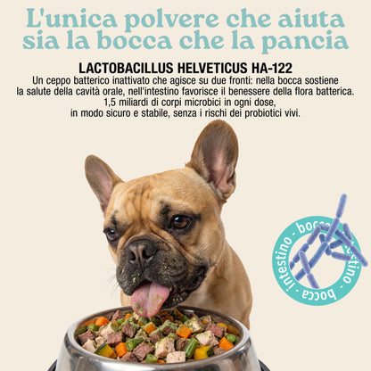 Placca, Tartaro e Alito fresco