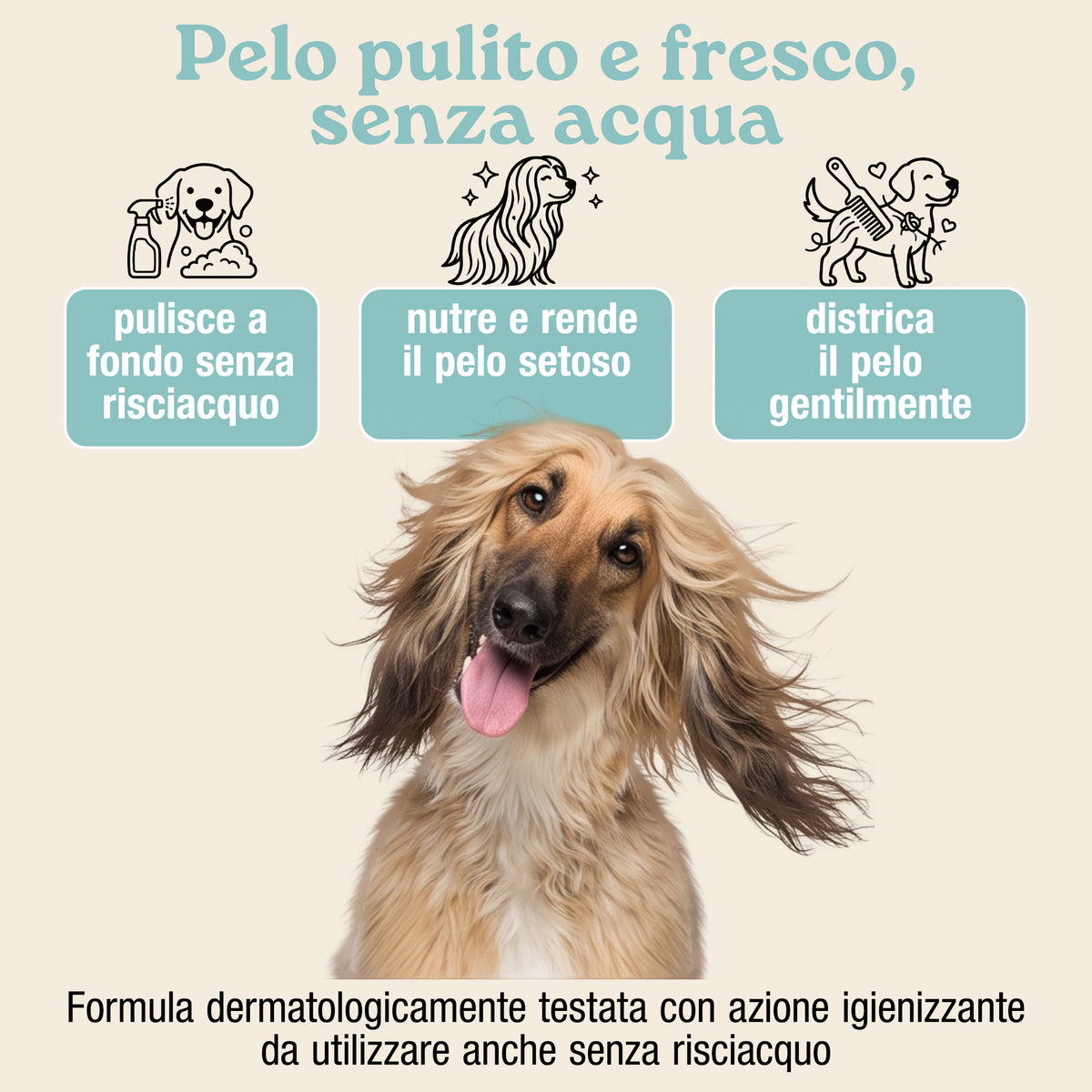 shampoo a secco