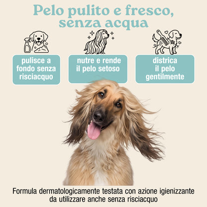 shampoo a secco