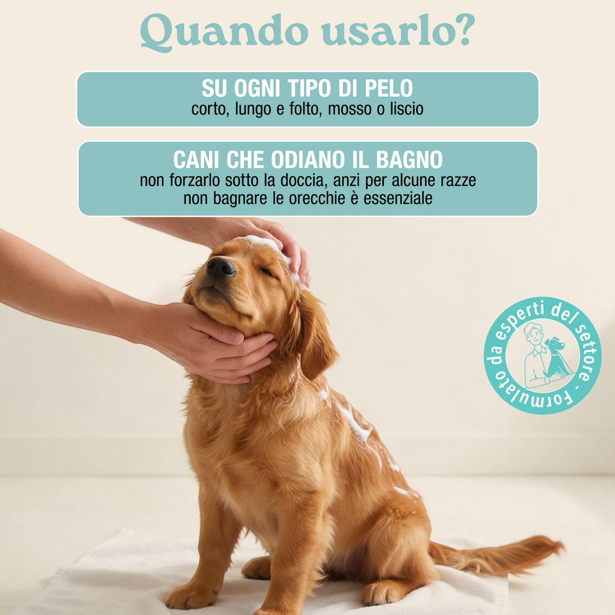 shampoo a secco