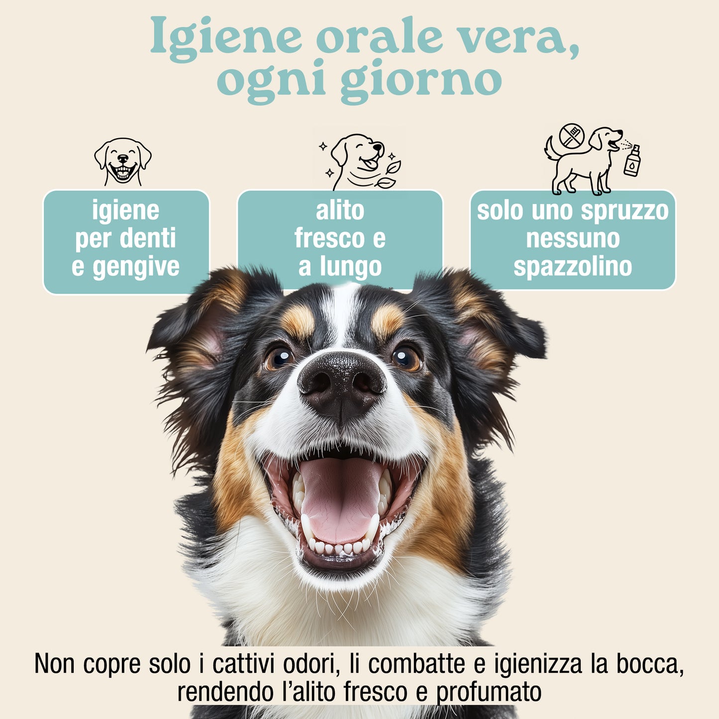 Dentifricio Spray