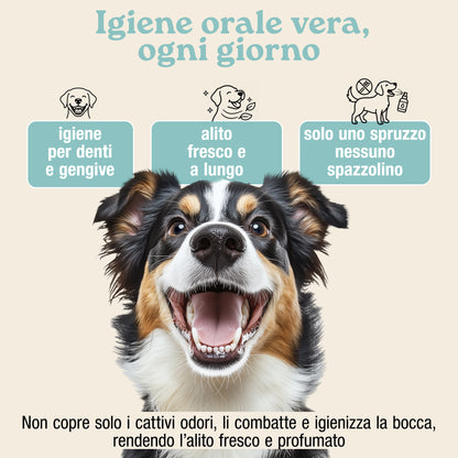 Dentifricio Spray