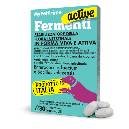 Fermenti